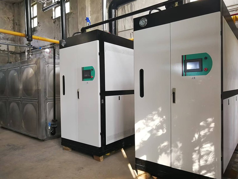  制藥廠低氮蒸汽發(fā)生器案例